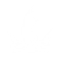 Captain's Spirit