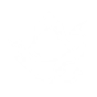 Shadow's Embrace