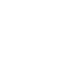 Spore Bomb