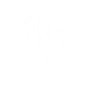 Nano Ray