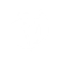 Edge Dancer