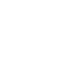 Pulse Rifle