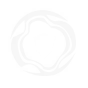 Wedded Harmony