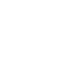 Cyber-web Snare