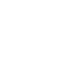 Cyber-bond