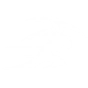 Spider-sweeper