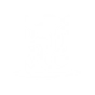 Invisible