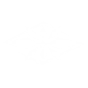 Mind's Aegis