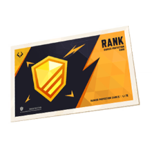 Chrono shield card