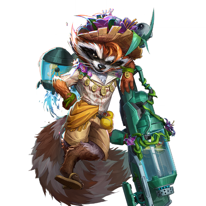 Sunshine raccoon